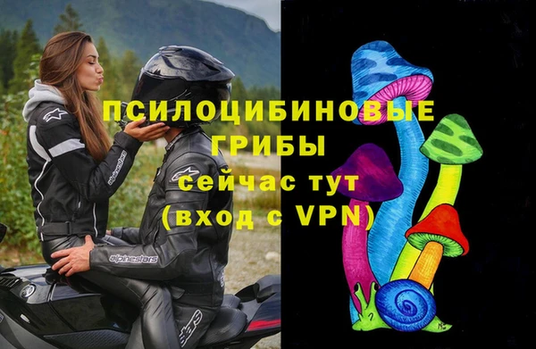 мдпв Новозыбков