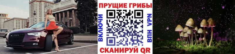 Купить  Железногорск  Псилоцибиновые грибы Cubensis 